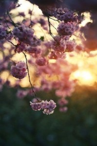 Đàm thoại tiếng Trung : Nghỉ giải lao