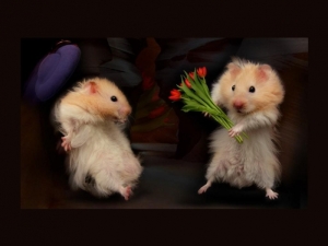 học tiếng trung theo chủ đề