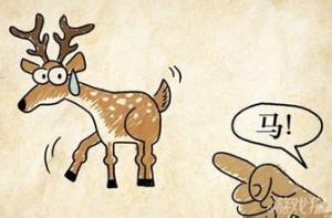 Thành ngữ đối chiếu Việt Trung