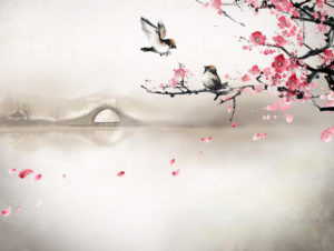 giảng nghĩa thành ngữ tiếng trung