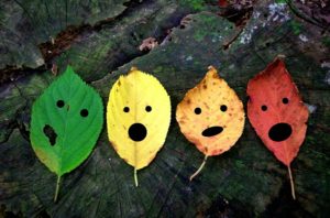 phân biệt câu sai trong tiếng Trung