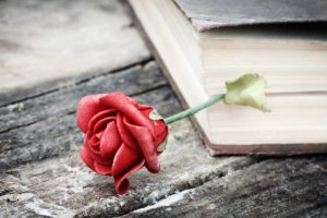 tieu thuyet thoi Minh Thanh