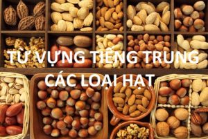 Hình ảnh Từ vựng tiếng Trung chủ đề các loại hạt 1