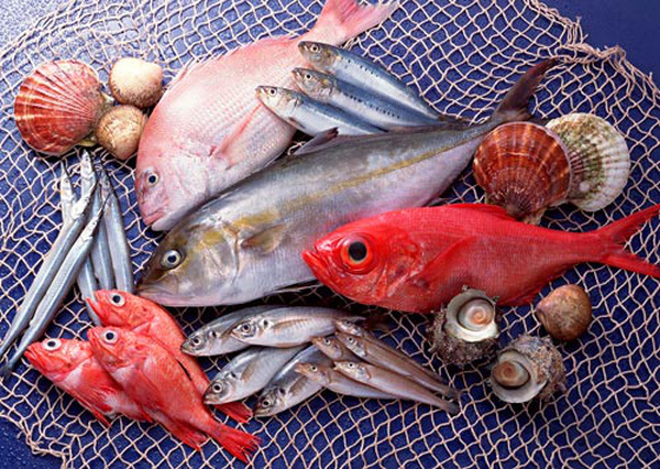 Hình ảnh Từ vựng tiếng Trung về thủy sản, hải sản 3