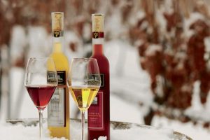 Hình ảnh Các loại rượu trong tiếng Trung 2