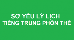 Hình ảnh Mẫu sơ yếu lý lịch tiếng Trung phồn thể 1