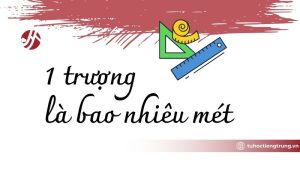 1-truong-la-bao-nhieu-met