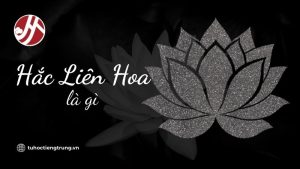 hac-lien-hoa-la-gi