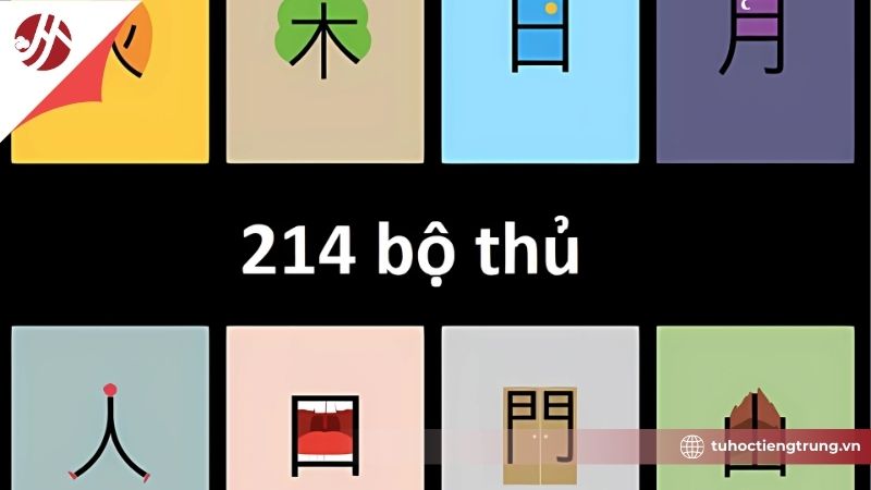 acach-hoc-214-bo-thu-tieng-trung