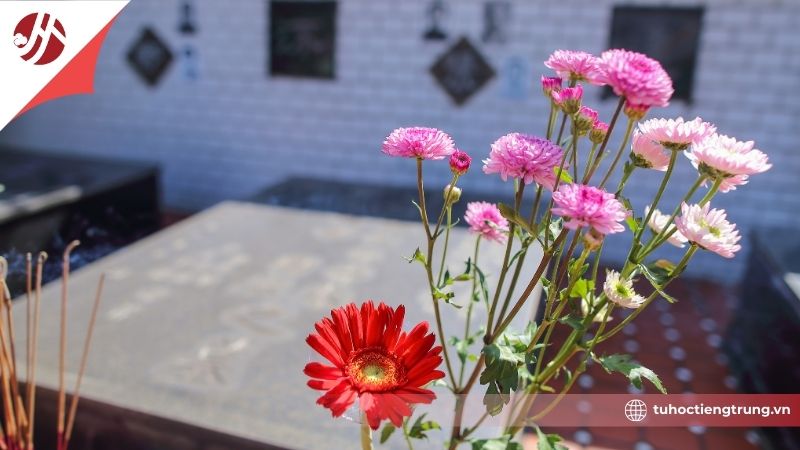 aphong-tuc-tao-mo-thanh-minh