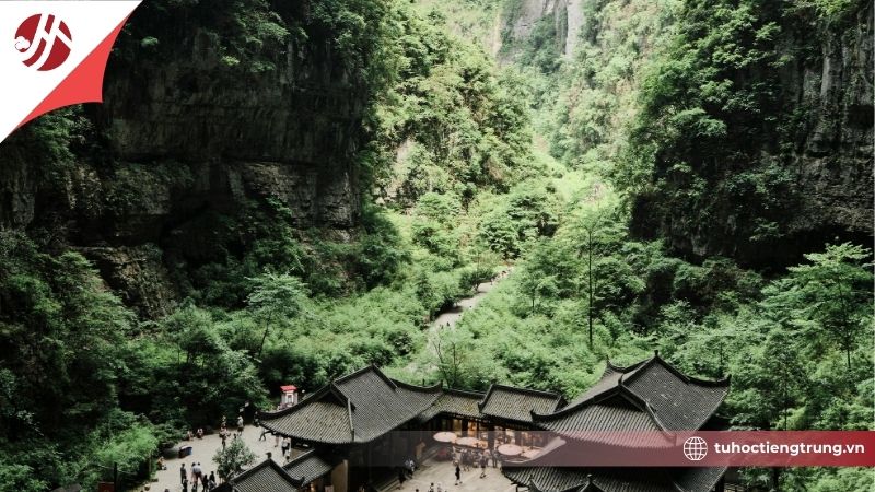 bmau-xanh-la-tieng-trung-doc-sao