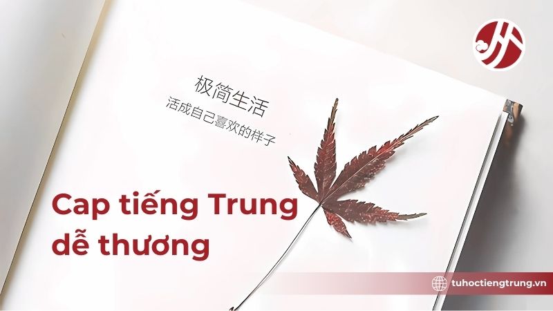 cap-tieng-trung-de-thuong