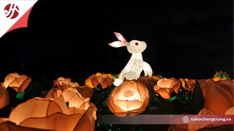 cle-hoi-den-long-trung-quoc