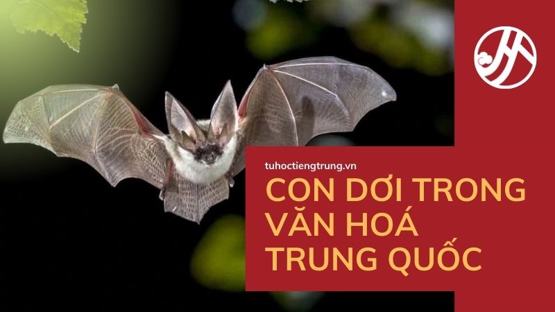 con-doi-trong-van-hoa-trung-quoc