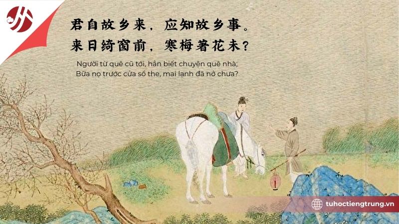 ctho-duong-noi-tieng-de-hieu