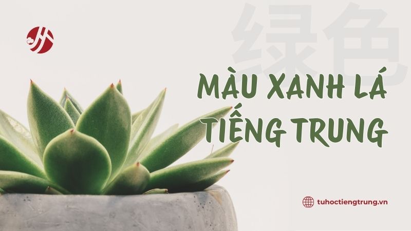 mau-xanh-la-tieng-trung-doc-sao