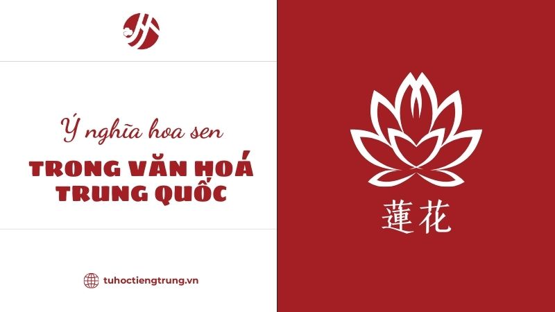 y-nghia-hoa-sen-trong-van-hoa-trung-quoc
