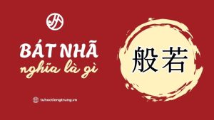 bat-nha-nghia-la-gi