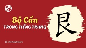 bo-can-trong-tieng-trung