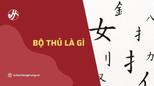 bo-thu-la-gi