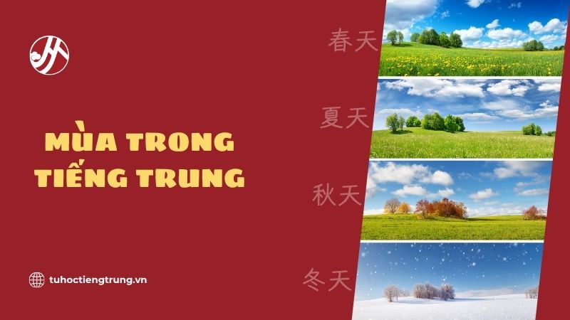 mua-trong-tieng-trung