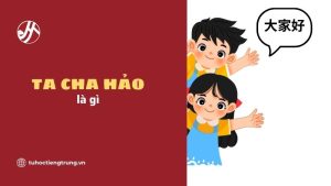 ta-cha-hao-la-gi