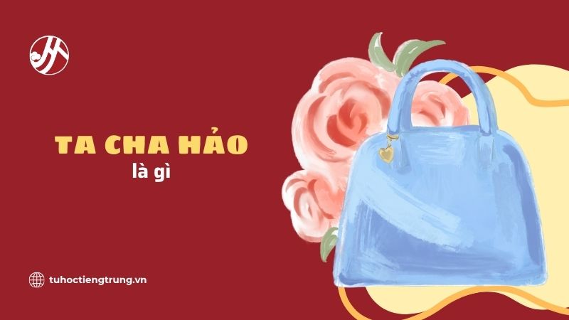 tui-xach-tieng-trung-la-gi