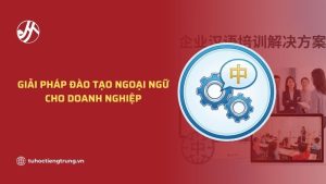 giai-phap-dao-tao-ngoai-ngu-cho-doanh-nghiep